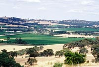 Panorama of Clare Valley