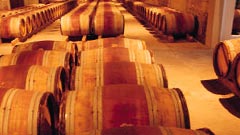 Wine barrels