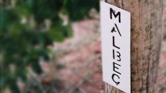 Post with a sign reading Malbec